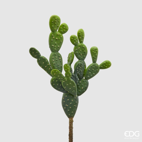 Edg - ramo cactus bell pick h30 | rohome - Rohome
