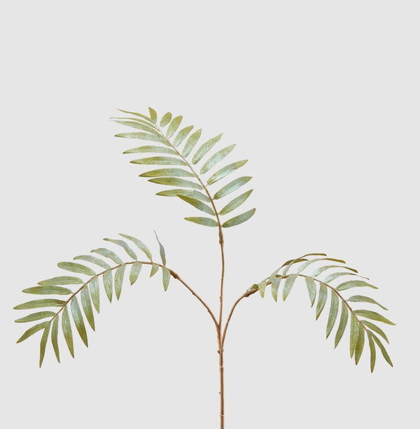 Edg - ramo chamaedorea verde | rohome - Rohome