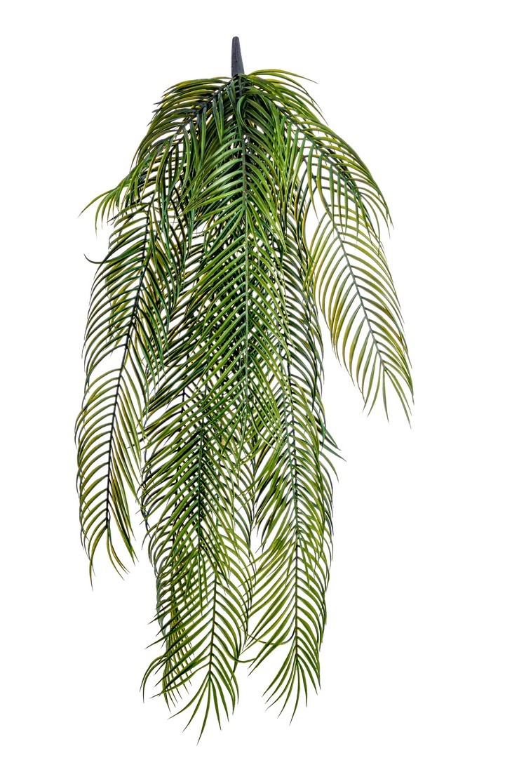 Ramo cadente sempreverde h 110cm | Rohome