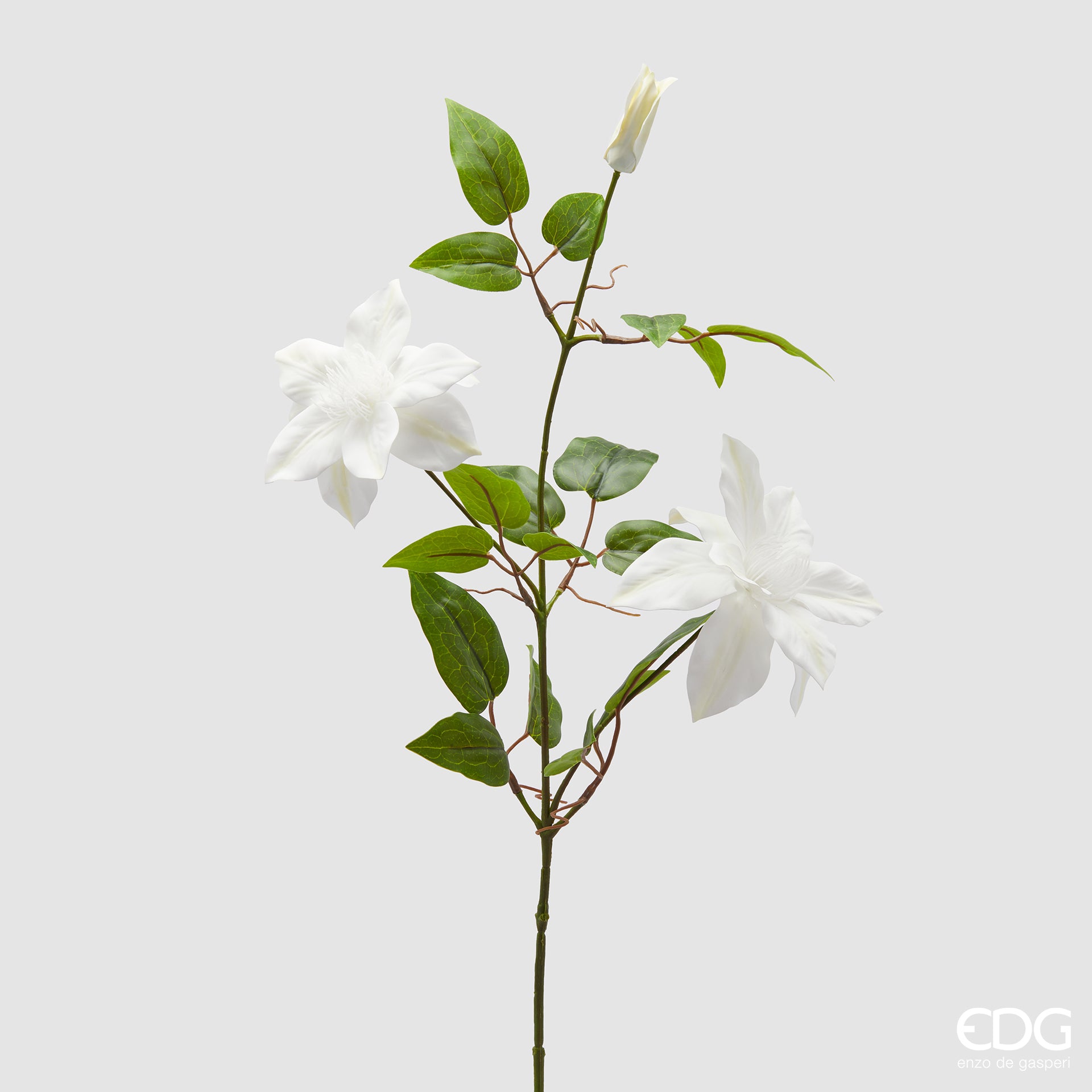 Edg - Ramo con bocciolo clematis h.85cm  | Rohome