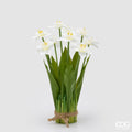 Edg - Mazzo artificiale Narciso 9 fiori | Rohome