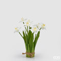 Edg - Mazzo artificiale Narciso 7 fiori | Rohome