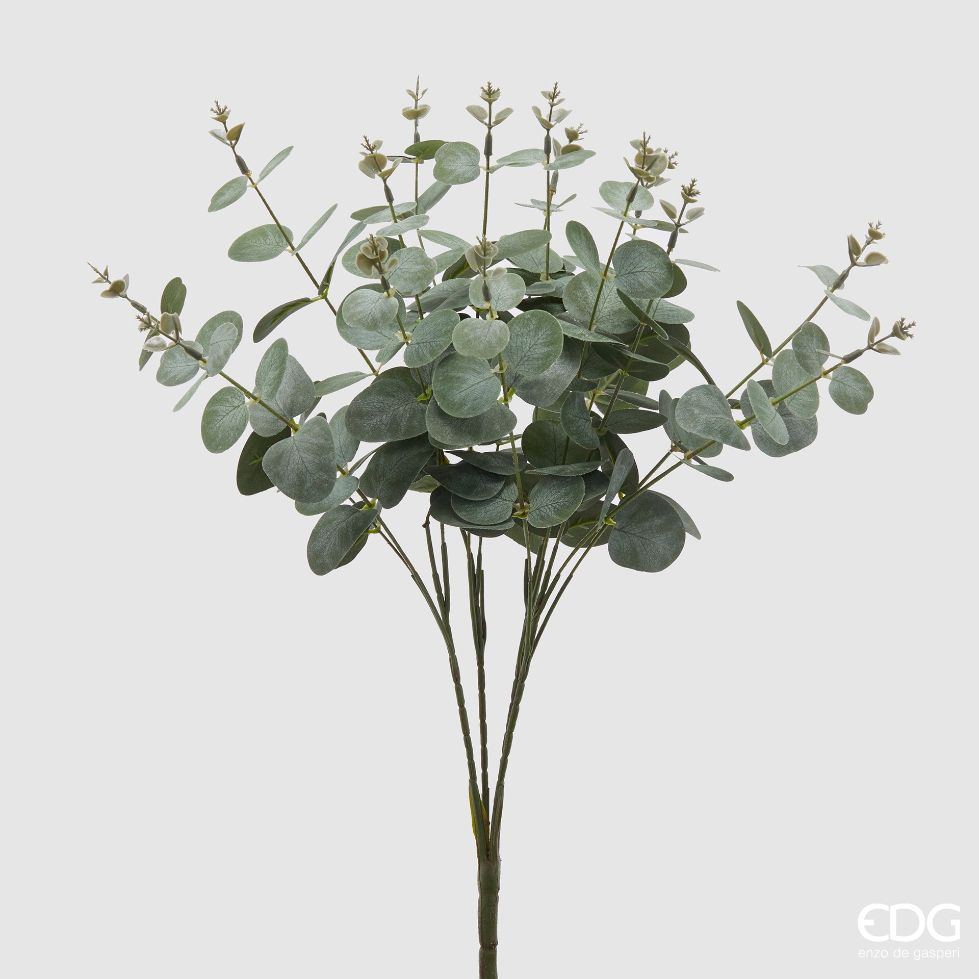 Edg - Ramo artificiale eucalipto H. 50cm | Rohome