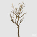 Edg - Ramo di acacia h.91cm | Rohome