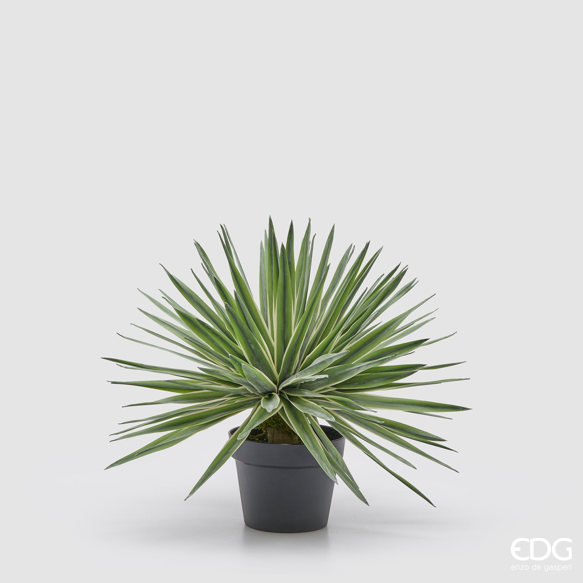 Edg - Pianta artificiale agave con vaso H. 45cm | Rohome