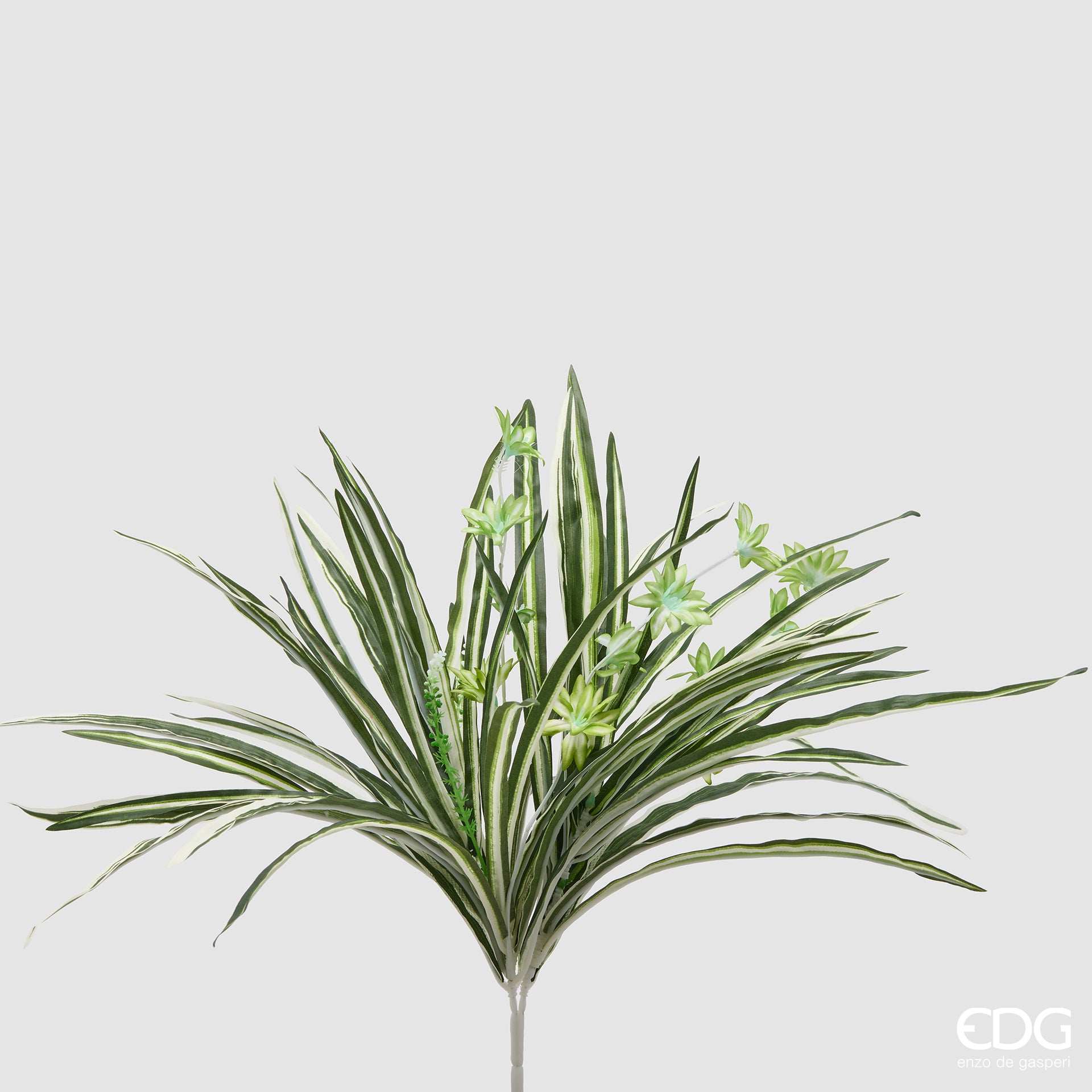 Edg - Ramo artificiale falangio chic h.53cm | Rohome