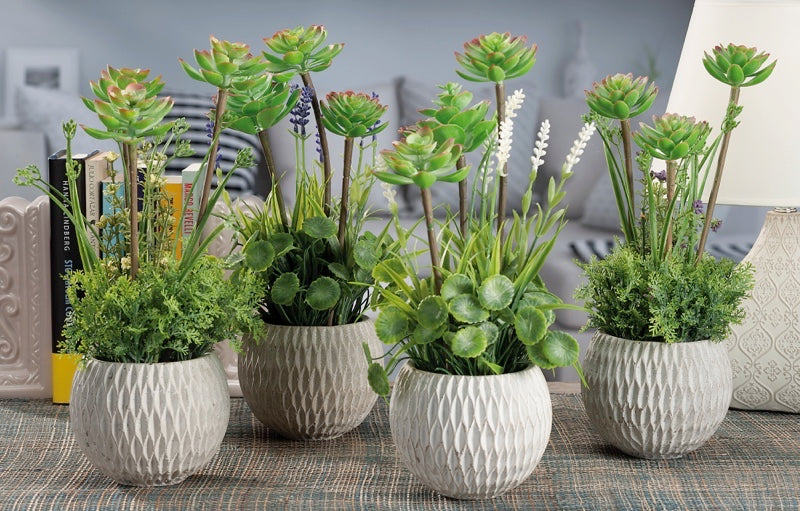 Pianta grassa con vaso grigio H 35 cm | Rohome