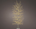 Albero betulla luminoso 1755 led colore gold | rohome