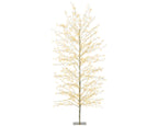 Albero betulla luminoso 1755 led colore gold | rohome