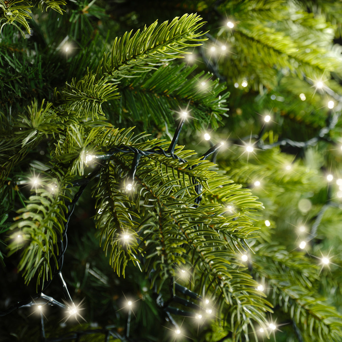Luci di natale compact 2000 led bianco caldo | rohome