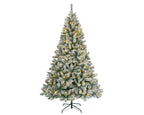 Albero di natale abete canada spruce frosted 440 led h.180 cm | rohome