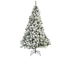Albero di natale pino imperiale h. 210cm | rohome