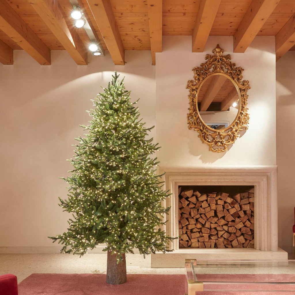 Galloway Christmas tree with h240 LED 5400 lights | rohome