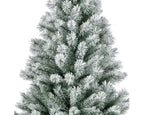 Albero di natale abete canada spruce innevato h.180 cm | rohome