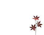 Ramo artificiale con 3 fiori in velluto | rohome
