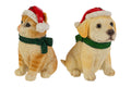 Cane e gatto natalizi in resina h. 16cm | Rohome