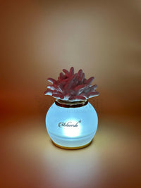 Melaverde - lampada piccola anemone bianco | rohome