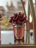 Melaverde - candela anemone 100 gr bordeaux | rohome