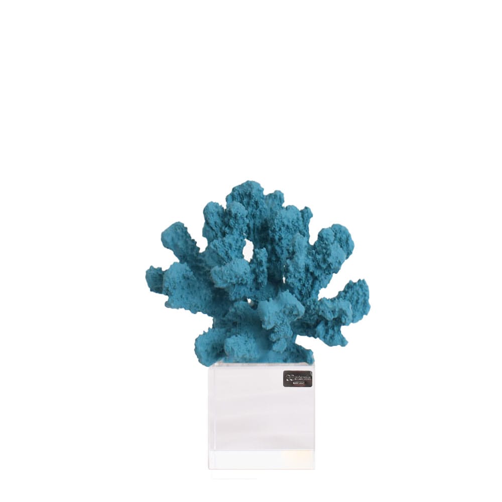Corallo decorativo piccolo colore turchese con base in vetro | Rohome