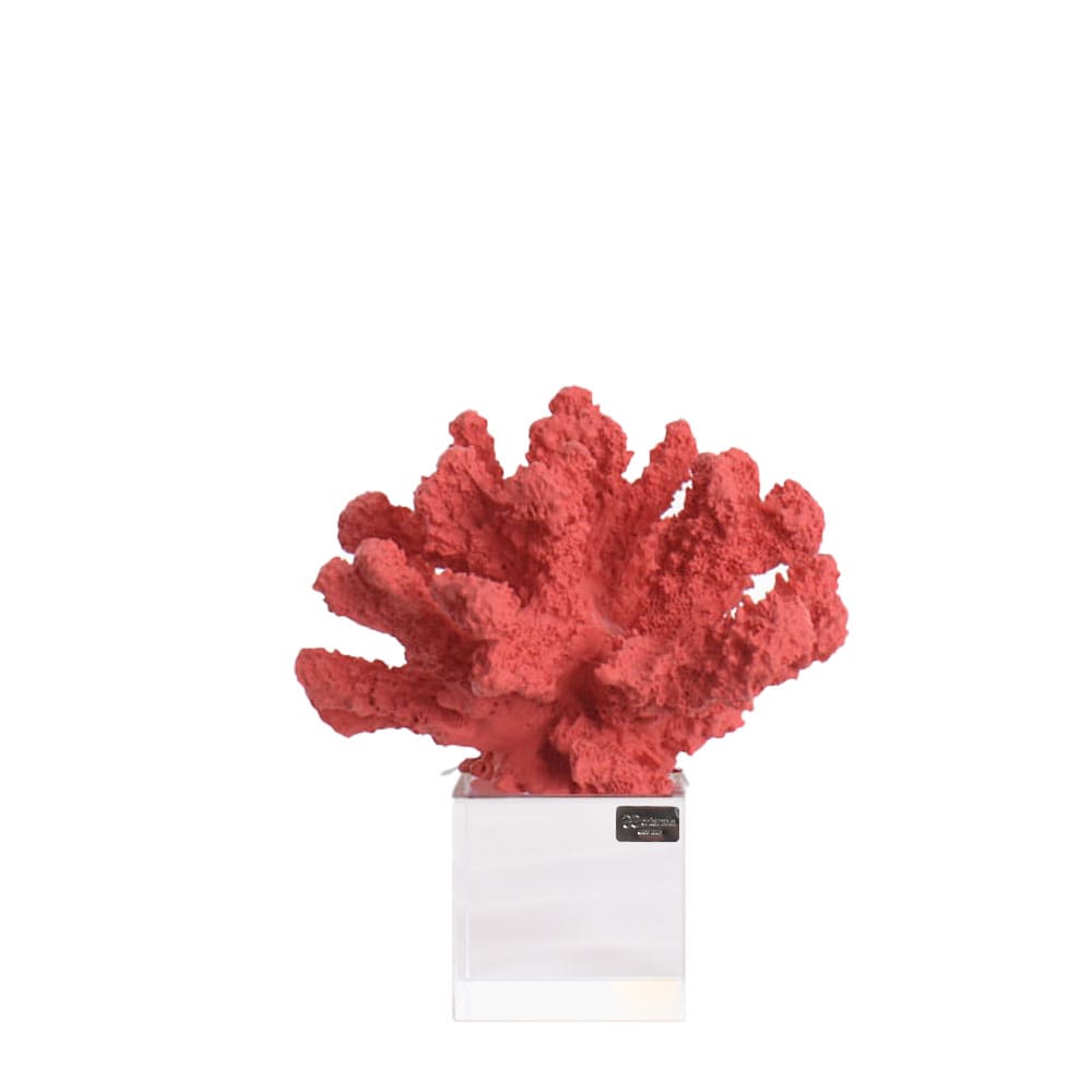 Corallo decorativo piccolo colore corallo con base in vetro | Rohome