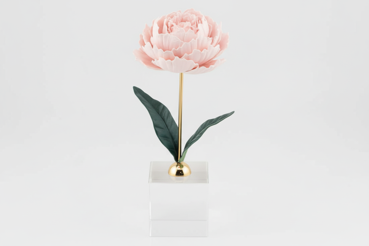 Pianta Peonia in ceramica colore rosa su base cubo h.18cm | Rohome