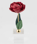 Pianta Peonia in ceramica colore rossa su base cubo h.18cm | Rohome