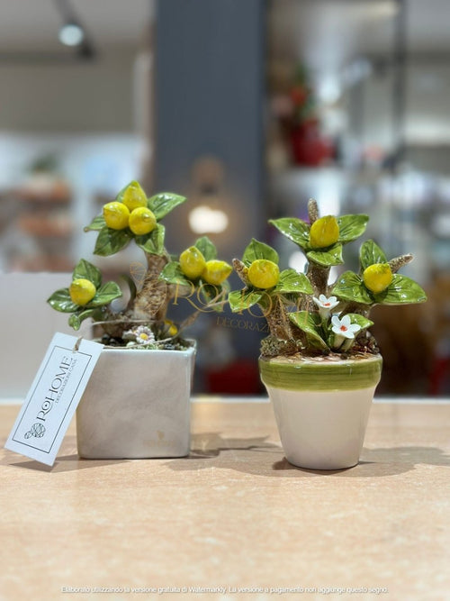 Alberello limoni in ceramica | rohome | Rohome