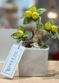 Alberello limoni in ceramica | rohome | Rohome