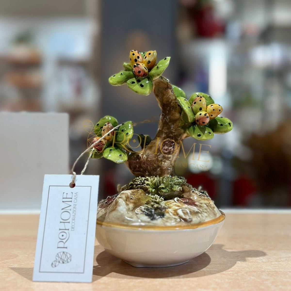 Round ceramic prickly pear bonsai pot | rohome