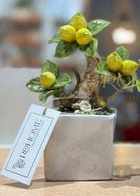 Small cube jar with ceramic lemons | rohome