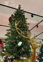 Galloway Christmas tree with h210 4000 LED lights | rohome