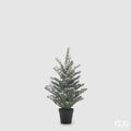 Albero di natale piccolo Pino innevato H. 54cm | Rohome | Rohome