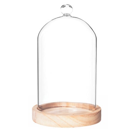 Campana in vetro con base in legno | Rohome | Rohome