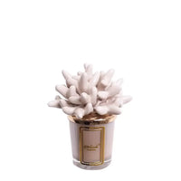 Melaverde - candela anemone 100 gr tortora | rohome
