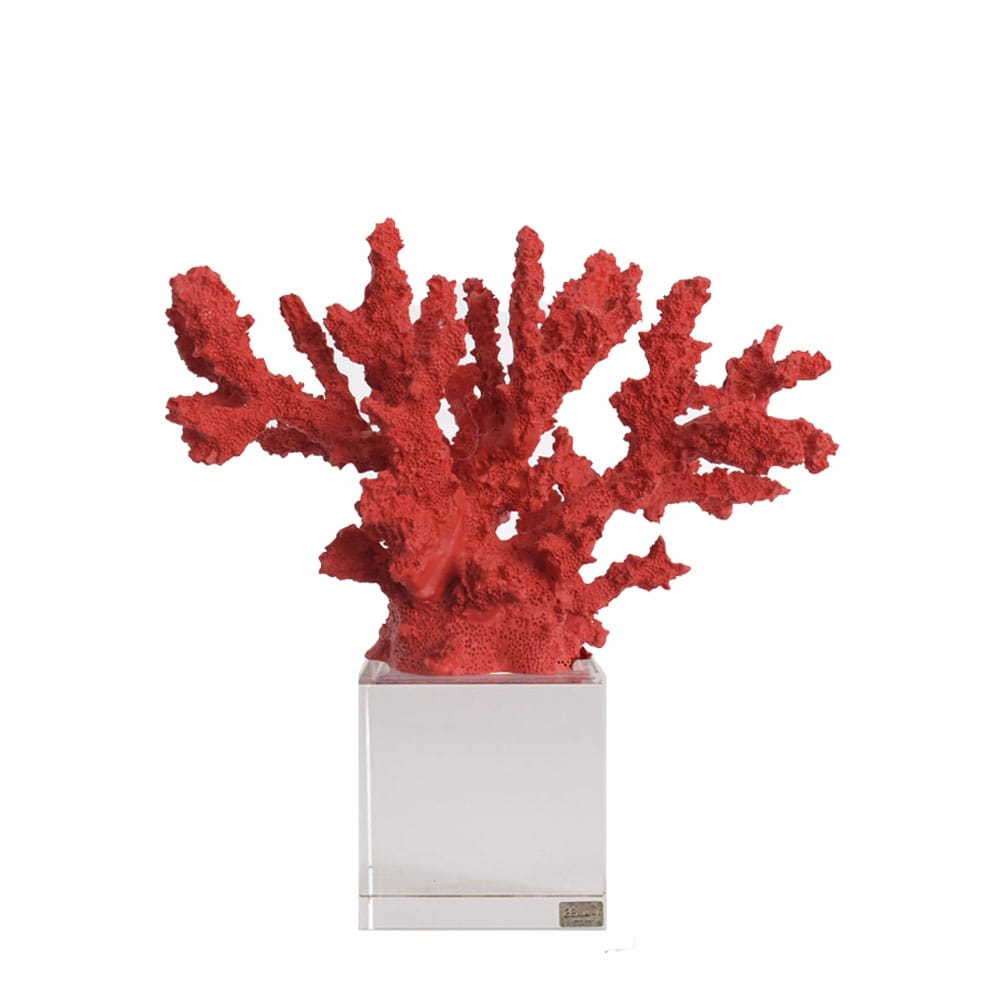 Corallo decorativo grande colore corallo con base in vetro | Rohome | Rohome