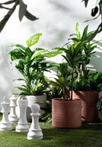 Decorazione scacchi bianco | rohome - Rohome