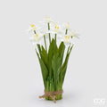 Edg - Mazzo artificiale Narciso 9 fiori | Rohome | Rohome
