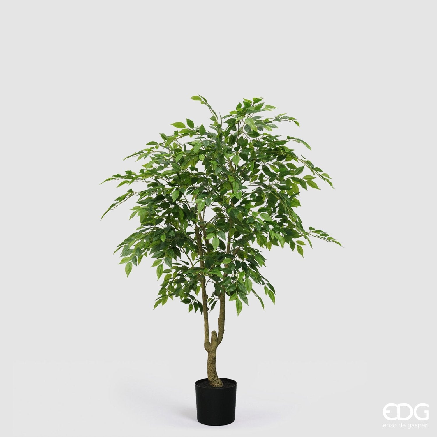 Edg - Pianta artificiale Ficus vogue con vaso h.156cm | Rohome | Rohome