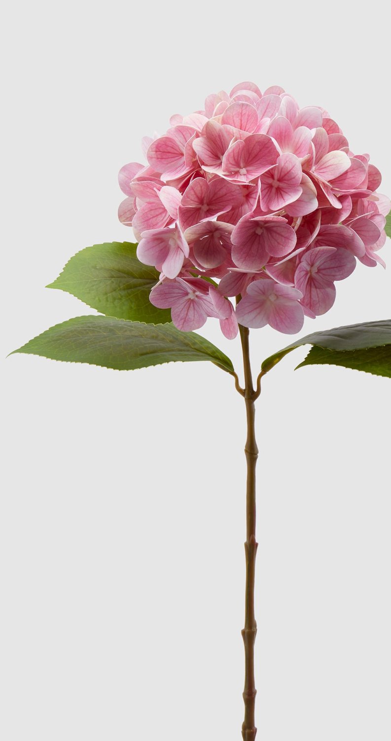 Edg - Ramo artificiale ortensia nobile dark rosa h.60cm | Rohome | Rohome