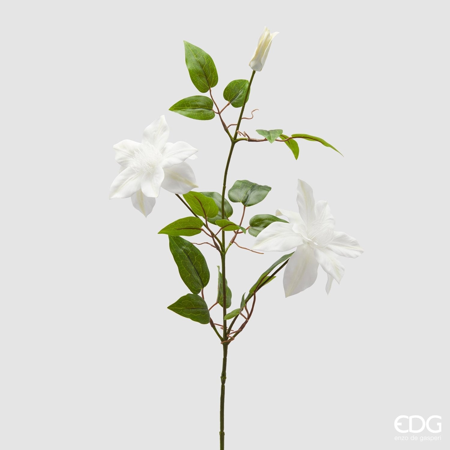 Edg - Ramo con bocciolo clematis h.85cm | Rohome | Rohome