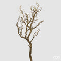 Edg - Ramo di acacia h.91cm | Rohome | Rohome