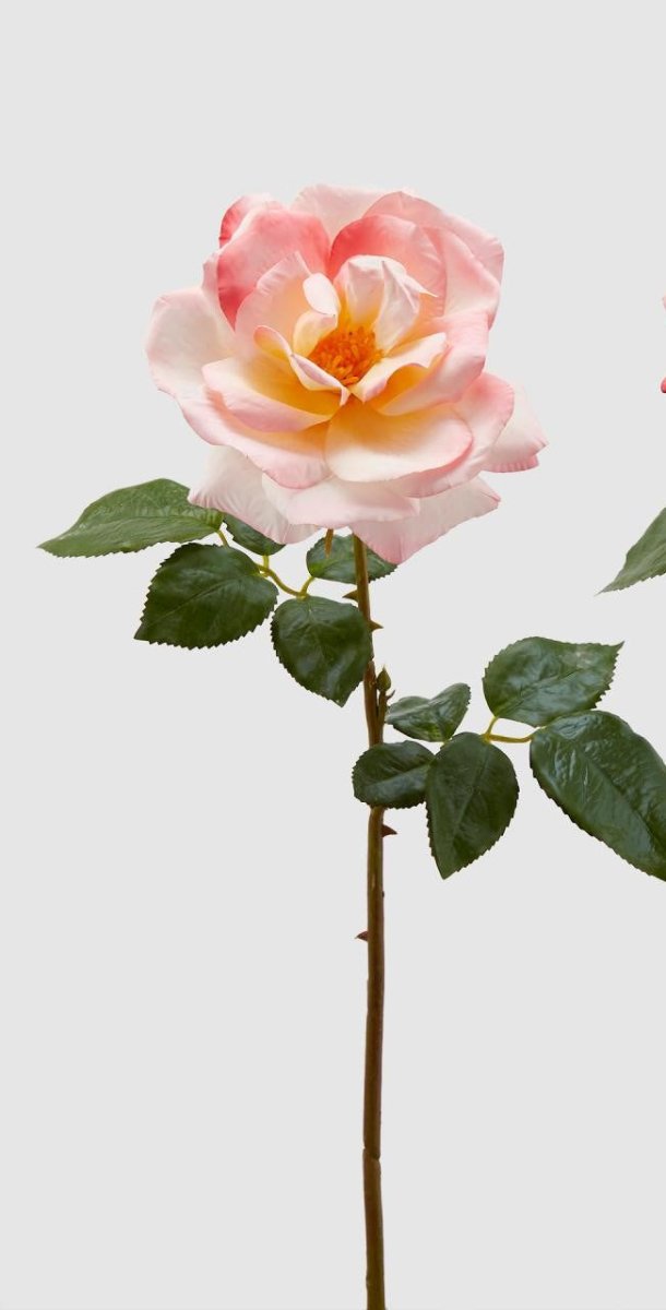 Edg - ramo rosa royal h 65cm pink | rohome