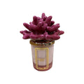 Melaverde - candela anemone 100 gr fucsia | rohome | Rohome