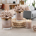 Melaverde - candela anemone 100 gr tortora | rohome | Rohome