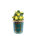 Melaverde - candela limoni 100 gr verde | rohome | Rohome