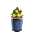 Melaverde - candela limoni 200 gr blu | rohome | Rohome