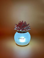 Melaverde - lampada piccola anemone bianco | rohome - Rohome