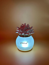 Melaverde - lampada piccola anemone bianco | rohome - Rohome