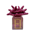 Melaverde - profumatore ambiente anemone fucsia | rohome | Rohome