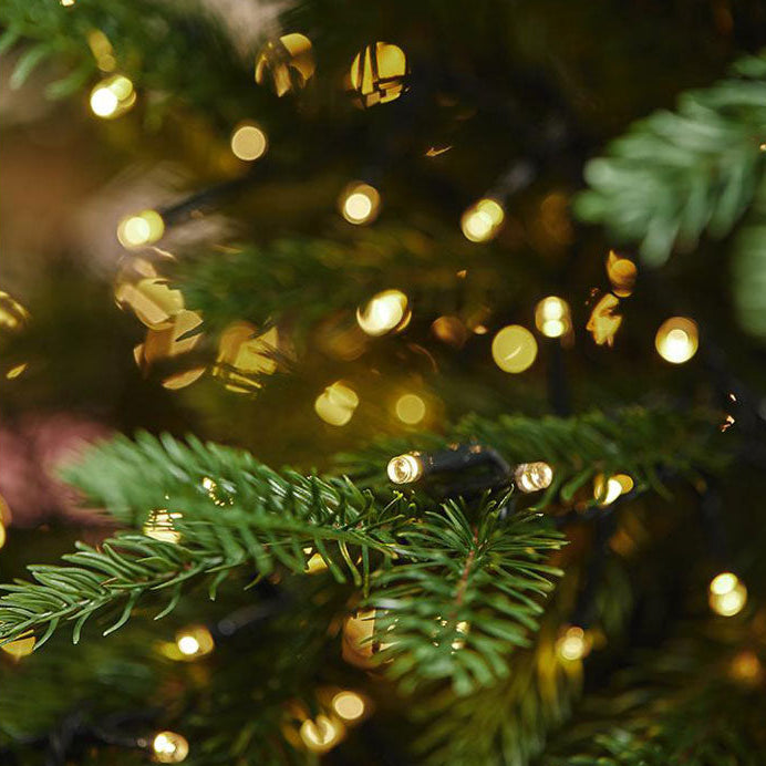 Galloway Christmas tree with h240 LED 5400 lights | rohome